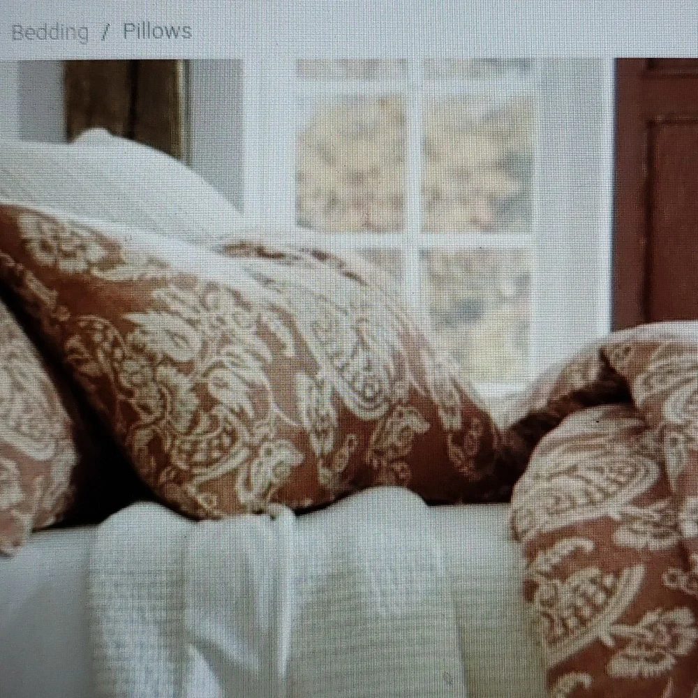 Pottery Barn ALESSANDRA Terra Cotta Linen Blend Pillow Shams Set of 2